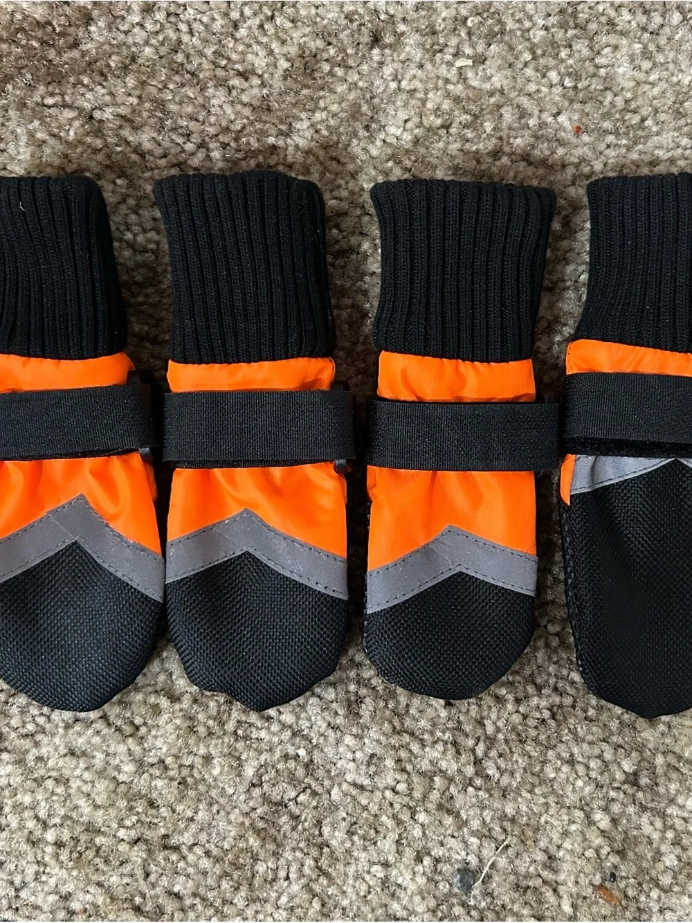 New Dog Boots